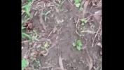 Video Bokep Indian Poop outdoor 1 online