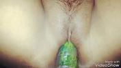 Bokep Terbaru Cucumber insertion