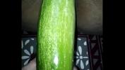 Bokep 2020 Desi wife eating cucumber 3gp