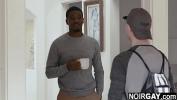 Vidio Bokep Desperate white guy blows a rich black gay apos s bbc for money gay interracial sex 2020