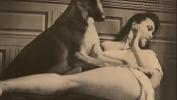 Download Video Bokep Vintage Wild Women amp Nature Girls terbaru