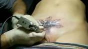 Vidio Bokep tatuage creado en la vagina hot