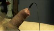 Bokep HD sticking a probe in my urethra terbaru