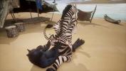 Vidio Bokep Zebra dominates a small Wolf gratis